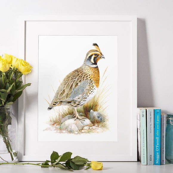 Watercolor Quail Wall Art Print, Unframed - Vibrant Nature-Inspired Home Decor - Picture 6 of 6